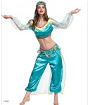Princess  costume Adult