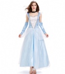 Adult priness costume