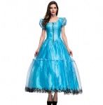 Adult priness dress costume